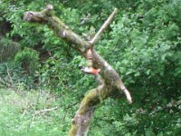 ulla07jun 020